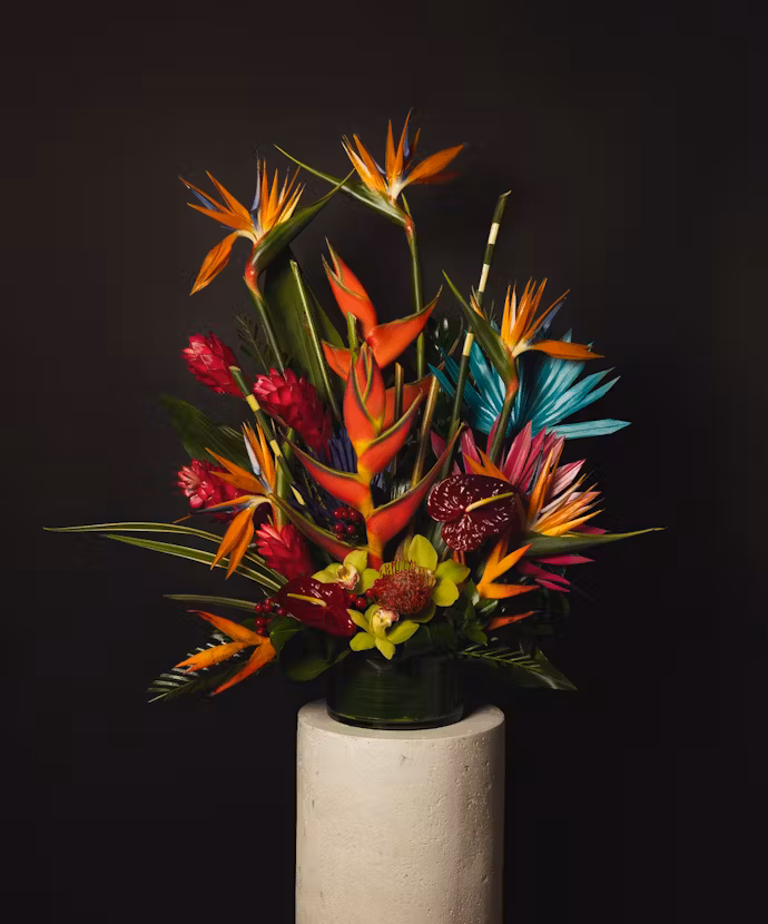 Tropical Luxe 1