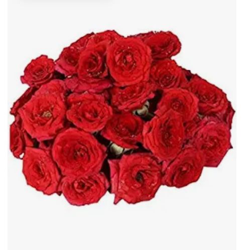Roses