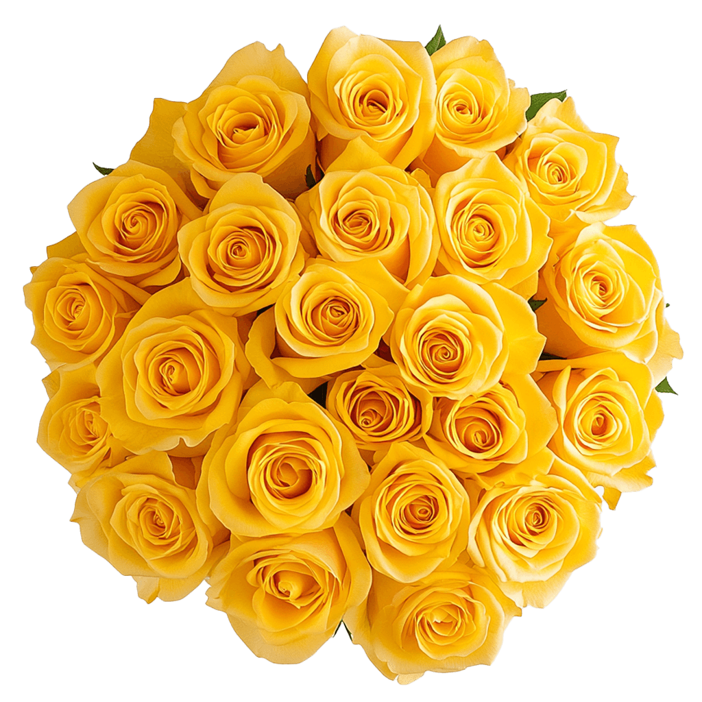 Yellow Roses